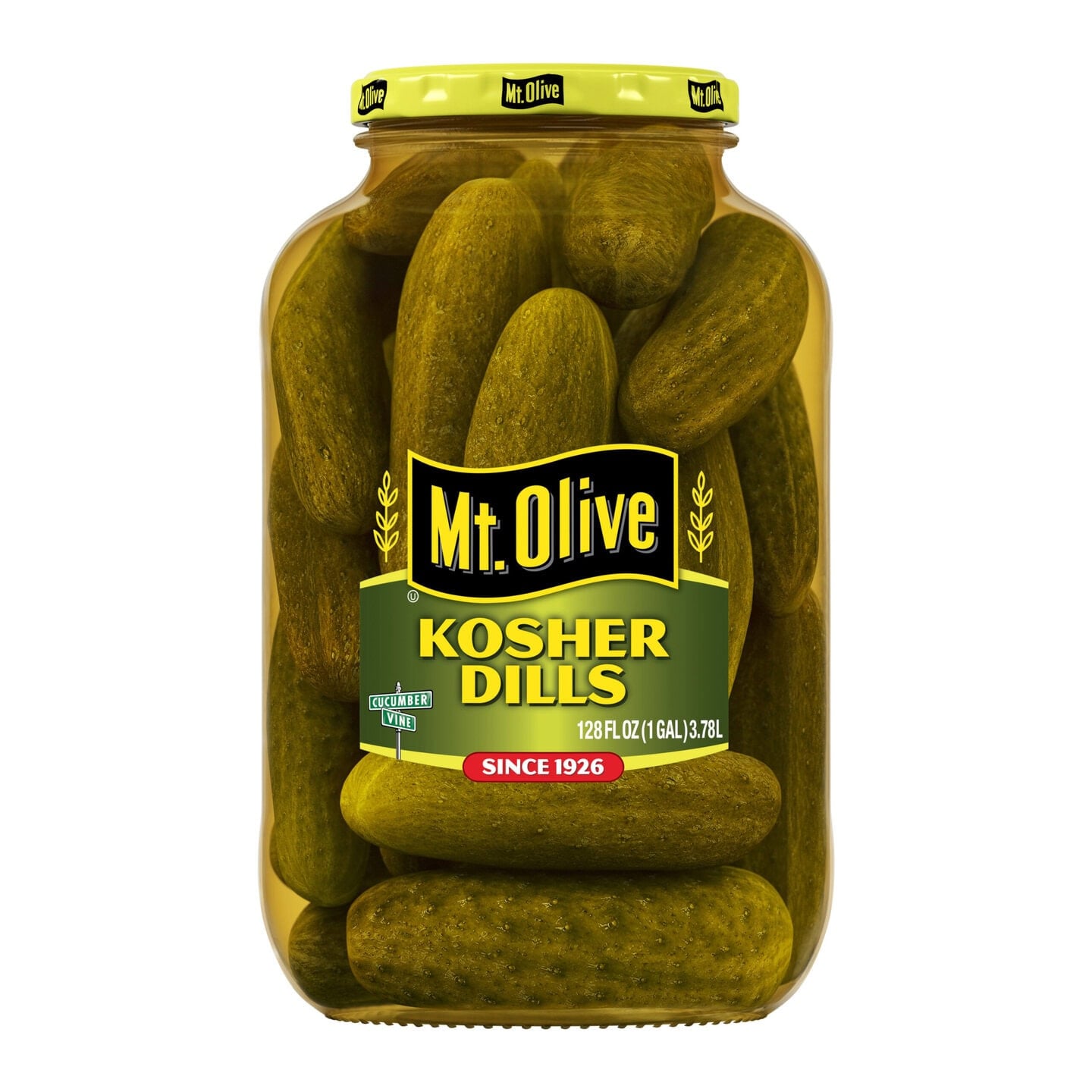 Jar of Mt. Olive Kosher Dills pickles with fresh cucumbers inside.