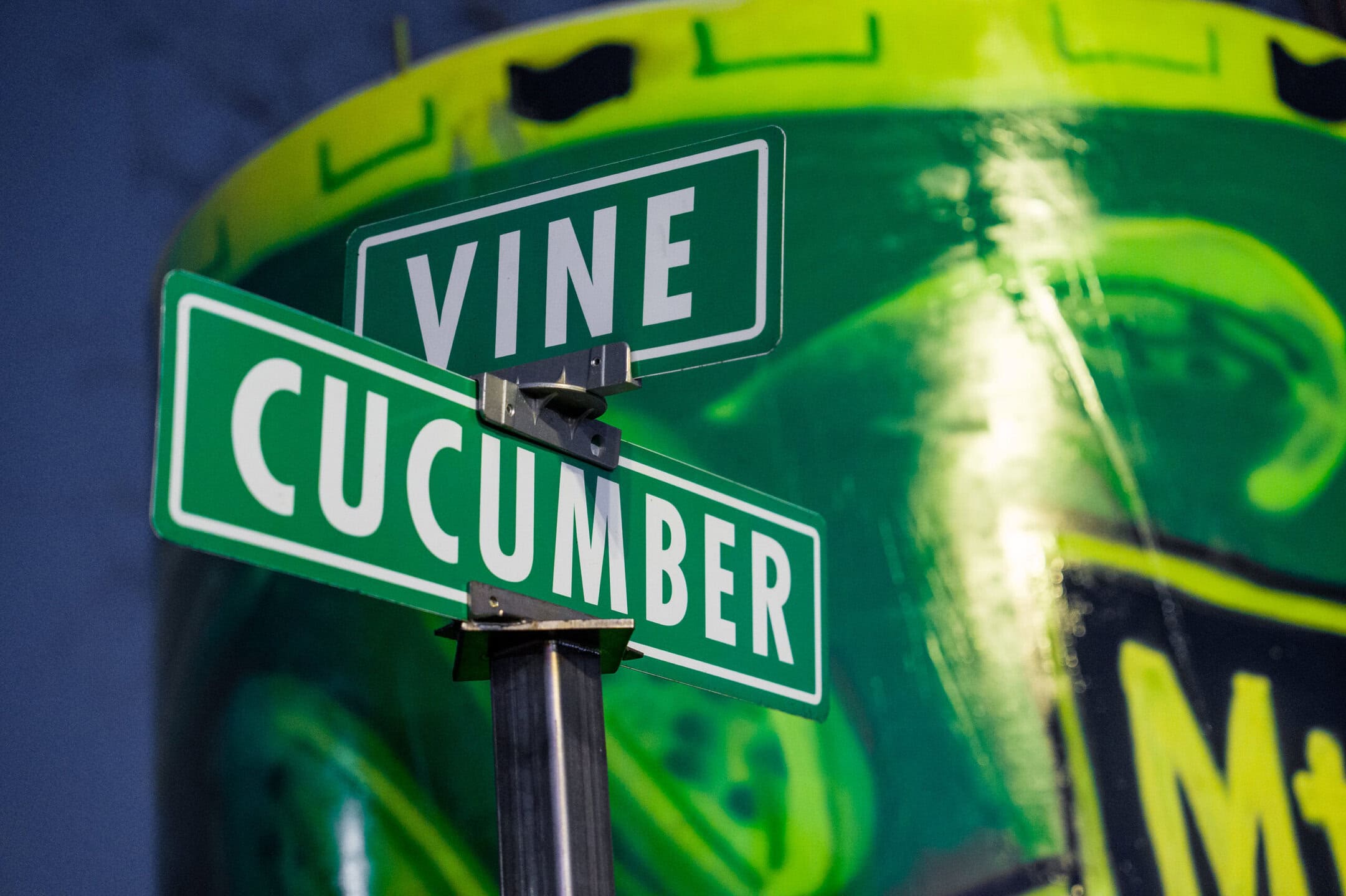 Mt. Olive Pickle Drop 2026 with Vine and Cucumber street signs in front of the pickle jar.